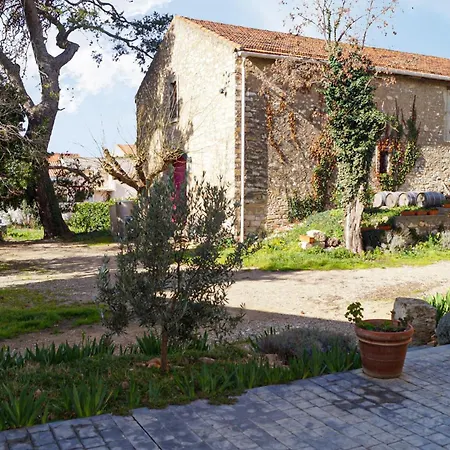 Domaine La Maurine *