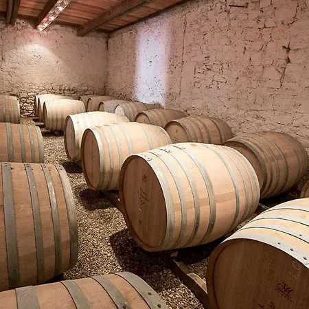 Domaine La Maurine Nyaraló Causses-et-Veyran
